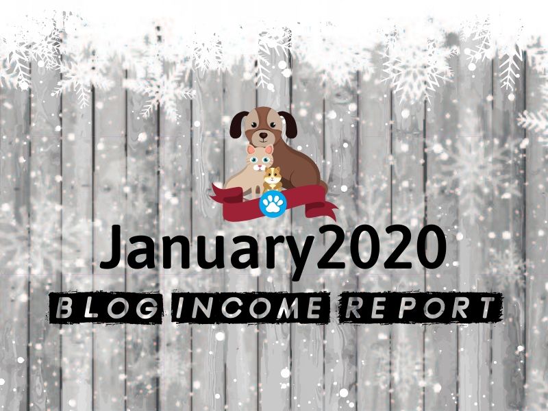 January 2020 Niche Site Project 1