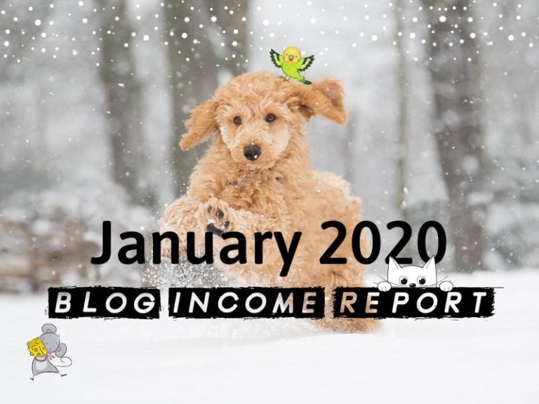 Niche Site Project 6 – January 2020