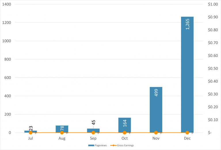 December 2020 Income Report & Blog Update - Bloggers on the Rise