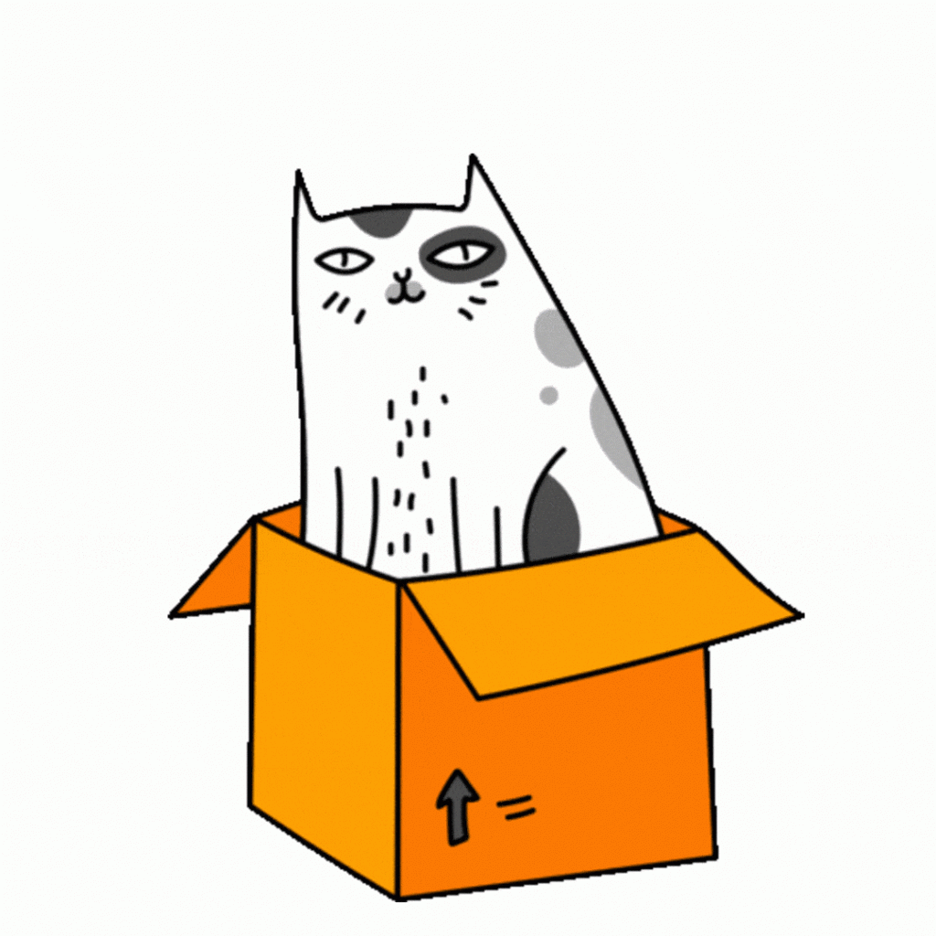 cat sitting in a box spinning with stars falling rapidly in the back ground